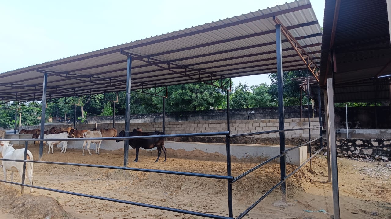 animal_welfare Welfare 2